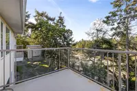 View 39