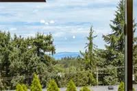 View 19
