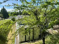 View 31