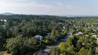 View 51