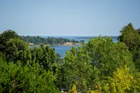 View 19