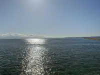 View 81