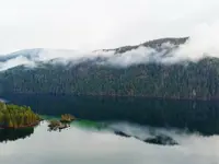 View 49