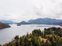 View 50