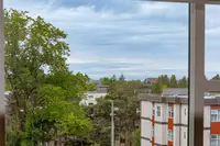 View 15