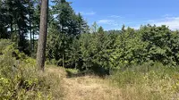 View 62
