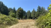 View 63