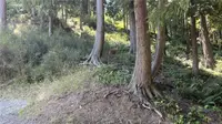 View 66