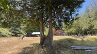 View 65