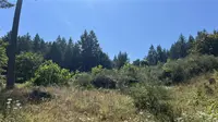 View 58