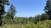 View 64