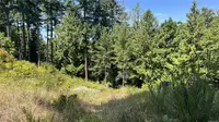 View 60