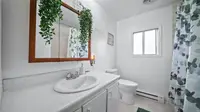 View 19