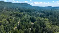View 60