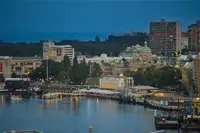 View 64