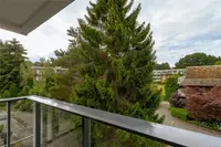 View 13