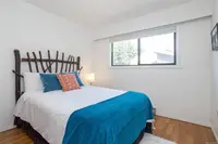 View 24