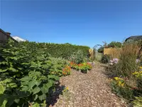 View 35