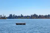 View 52
