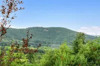 View 46