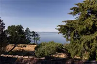 View 15