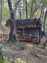 View 11