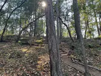 View 31