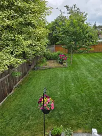 View 49