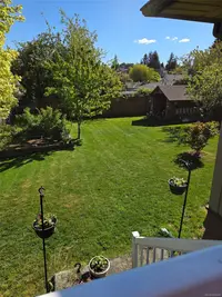 View 40
