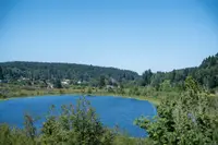 View 18