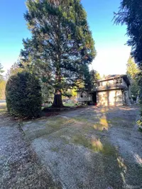 View 18