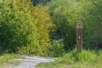 View 81