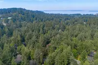 View 84