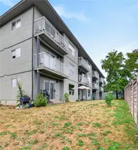 View 29