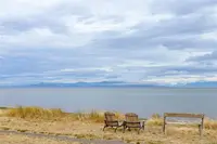 View 50