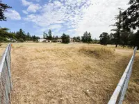 View 12