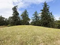 View 54