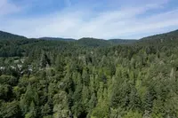 View 51