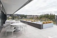 View 52
