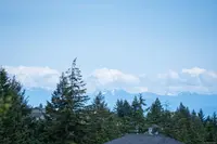 View 19