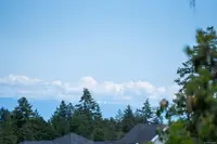 View 21