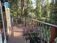View 24