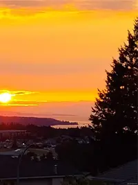 View 55