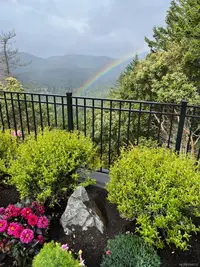View 38
