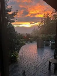 View 37
