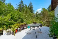View 43