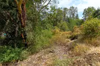 View 49