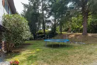 View 50