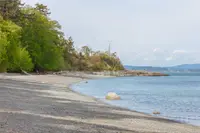 View 42