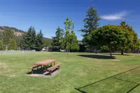 View 40